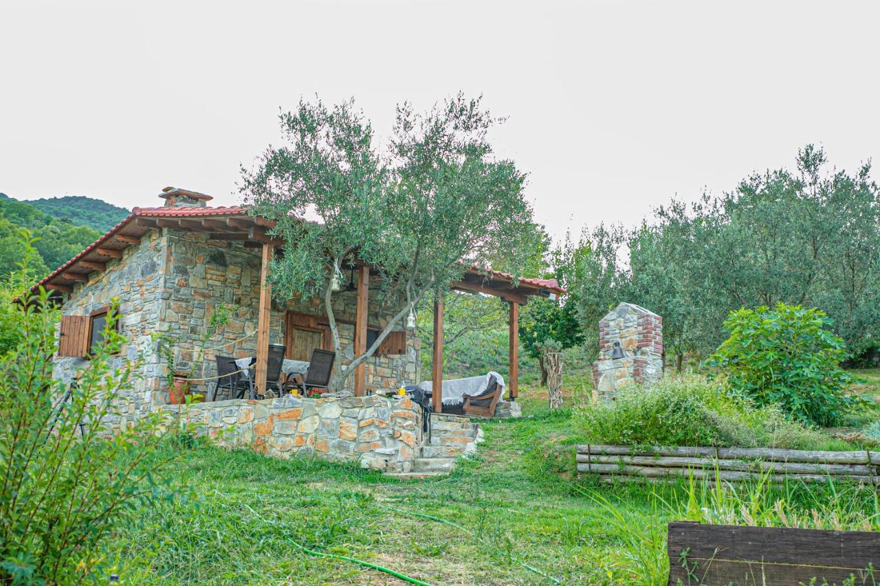 Xenonas Home Larissa Zewnętrze zdjęcie